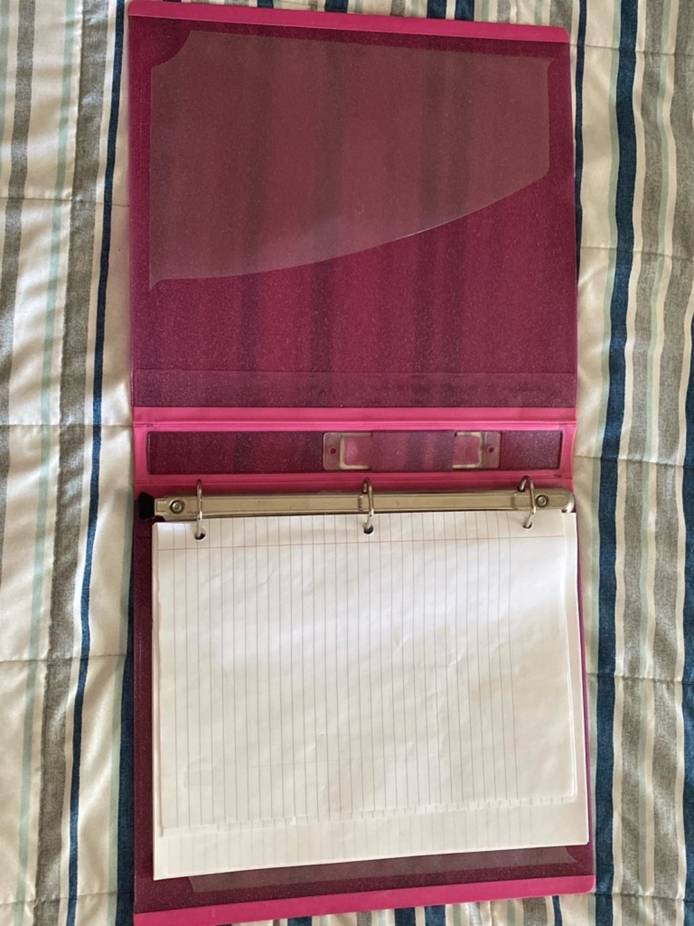 Pink binder - Picture 2 of 2